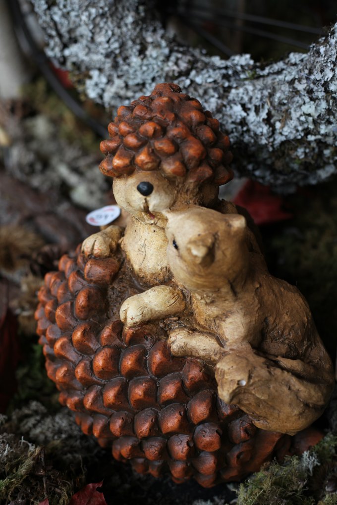 Bienvenue en automne photo 3